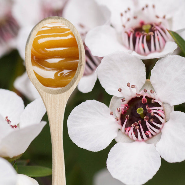 Manuka oil